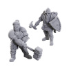 Dungeons & Dragons Nolzur's Marvelous Miniatures - 50th Anniversary Limited Edition - Dwarves, 2 cm