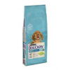 Purina Dog Chow Puppy Lamb&Rice 14kg