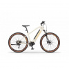 Horský Elektrobicykel Ecobike SX300 18