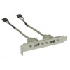 PREMIUMCORD Přídavné porty pro MB 2x USB (záslepka)