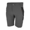 Pánske šortky Bennon KRATOS Shorts grey/black sivé veľ. L