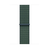 Apple Watch 40mm Lake Green Sport Loop