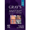 Gray's Anatomy for Students Flash Cards