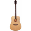 Rathbone R5SM akustická gitara