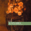 BEETHOVEN,L.V.: Complete Piano Sonatas, Vol. 3 (2CD)