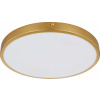 Globo Lighting Tibey stropné svietidlo 1x22 W mosadzná 12381-22