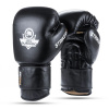 Boxerské rukavice DBX BUSHIDO Striker Veľkosť: 12oz.