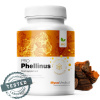 MycoMedica BIO Phellinus PRO 90 caps MycoMedica BIO Phellinus PRO 90 caps