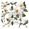 Transfer Magnolia Garden
