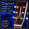 TANGLEWOOD Acoustic Guitar Strings 11 Custom Light