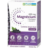 PLUS LEKÁREŇ Magnézium 400 mg+B komplex+vitamín C vrecúška s príchuťou čiernych ríbezlí 1x20 ks