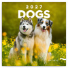 NOTIQUE Poznámkový kalendár Psy 2027, 30 x 30 cm
