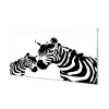 Nástenný panel maľované zebra 100x50 cm