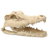 Repti Planet Krokodília lebka 13,8 cm 56013