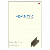 DANTIK rám na obraz 59,4x84 champagne
