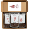 21 Coffee Christmas Espresso Box
