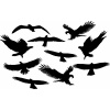 Swissinno odpudzovač vtákov (NÁLEPKY ODPUZUJÚCE VTÁKY 10 KS, NAJVÄČŠIE)