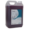 ECOLAB Dentasept aspiration AF+ 5 l