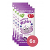 6x KIDDYLICIOUS Oplátky čučoriedkové mini 4x 4 g