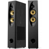 Fenda F&D T-60X