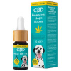 Zelená země CBD slaninové kvapky pre psov 10%, 10 ml