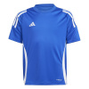 adidas Tiro 24 Training T-Shirt Juniors Royal Blue/Wht 13 Years