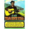 Toulavá country kytara