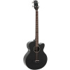 Akustická basgitara AB-450 black Dimavery