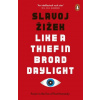 Like A Thief In Broad Daylight (Slavoj Žižek)
