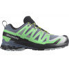 Salomon XA Pro 3D V9 - Flint Stone/Green Gecko/Black 42 2/3
