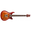 PRS DGT Birds Dark Cherry Sunburst