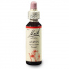 Dr. Bach Esence Aspen 20 ml
