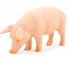 Animal Planet Prasa 387080