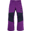 Detské lyžiarske nohavice Burton Kids' Skylar Pants 164-170