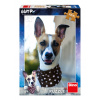 Dino Dog GUMP 300 XL Puzzle
