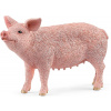 Schleich 13933 domáce zvieratko prasa domáce