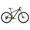 Amulet Rival 8.0 2023