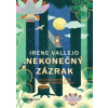 Nekonečný zázrak