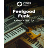Cities: Skylines II - Creator Pack: Feelgood Funk Radio (DLC) (Steam) - PC