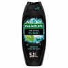 Palmolive Men Intense Sprchový gél Ice Blast 500ml