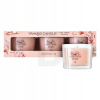 Tradičná parafínová sviečka Pink Sands Yankee Candle 3 ks