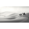 Obraz – Ťavy v Púšti Čiernobiely – AiArt 16:9