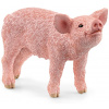 Schleich 13934 domáce zvieratko prasiatko domáce
