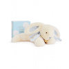 Doudou Darčeková sada - Plyšový zajačik modrý 30 cm Doudou et Compagnie Paris