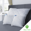 Kvalitex Vankúš ALOE VERA 50x50cm so zipsom 450g