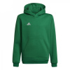 adidas ENT22 Hoodie Juniors Green/White 11-12 Years