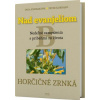 Nad evanjeliom - Horčičné zrnká - Oľga Kurhajcová