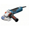 Bosch GWS 19-125 CIE, Professional 060179P002