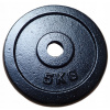 KUBISPORT CW5K Liatinové koleso 5 kg - 25 mm