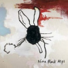 Nine Black Alps - Everything Is [CD]